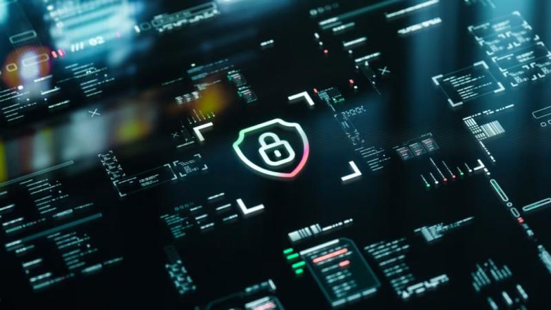 沂源县软件开发公司